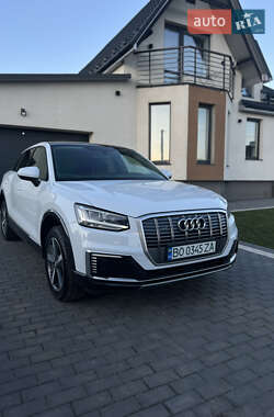 Внедорожник / Кроссовер Audi Q2L e-tron 2021 в 