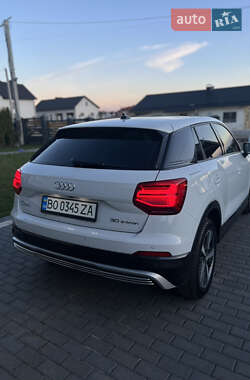 Внедорожник / Кроссовер Audi Q2L e-tron 2021 в 