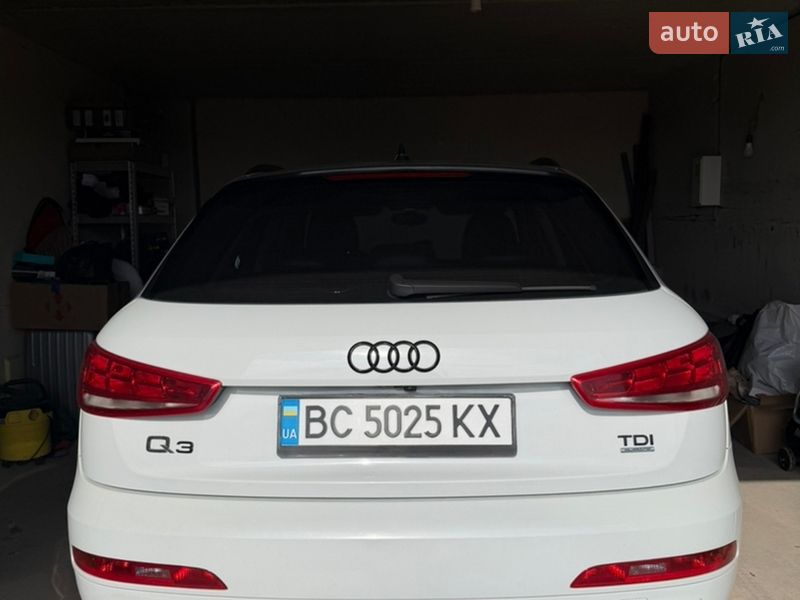 2013 Audi Q3, VIN WAUZZZ8U1DR022984:plate — фото 1 (autoria)