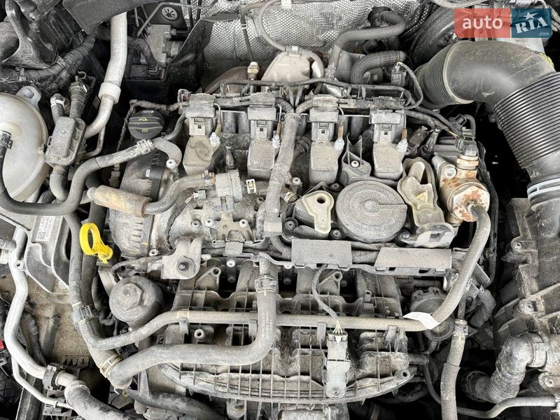 Внедорожник / Кроссовер Audi Q3 2019 в Киеве