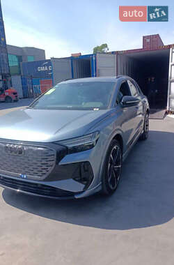 Позашляховик / Кросовер Audi Q4 e-tron 2024 в 