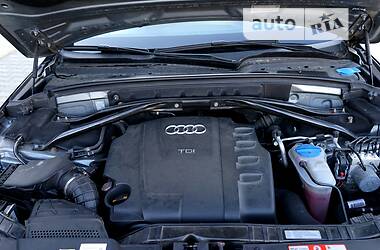 Позашляховик / Кросовер Audi Q5 2010 в 