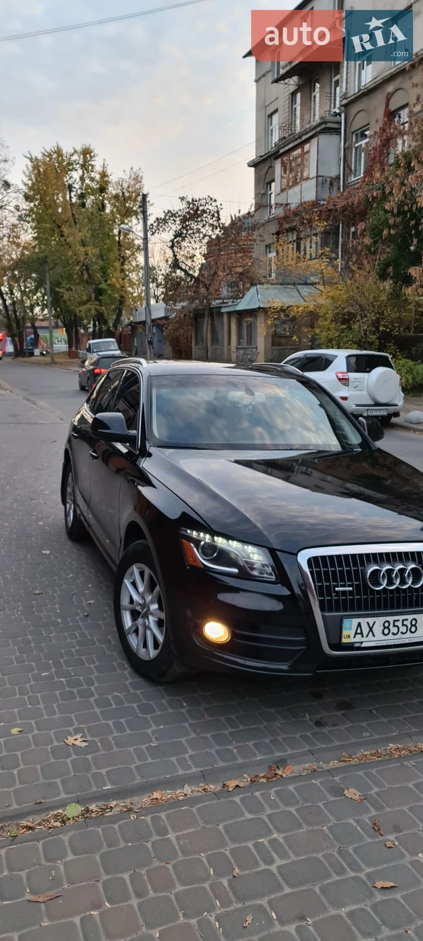 2011 Audi Q5 - мініатюра 3