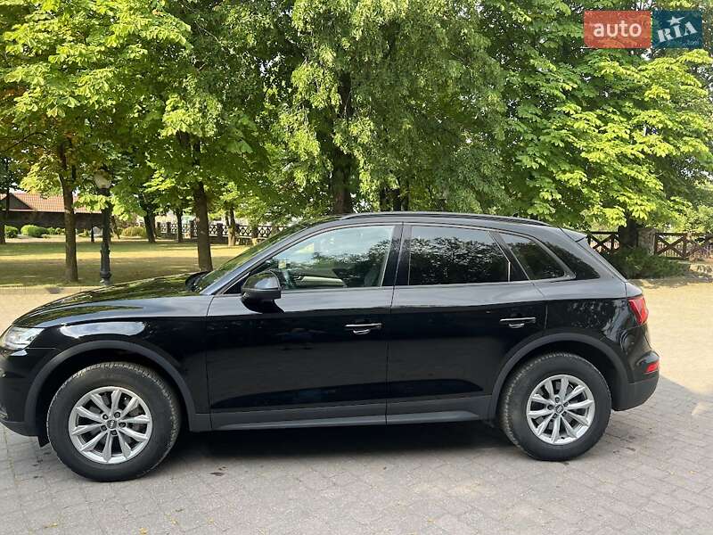 Внедорожник / Кроссовер Audi Q5 2019 в 