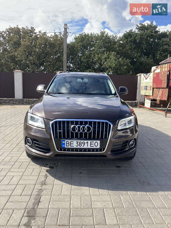 Audi Q5 2013