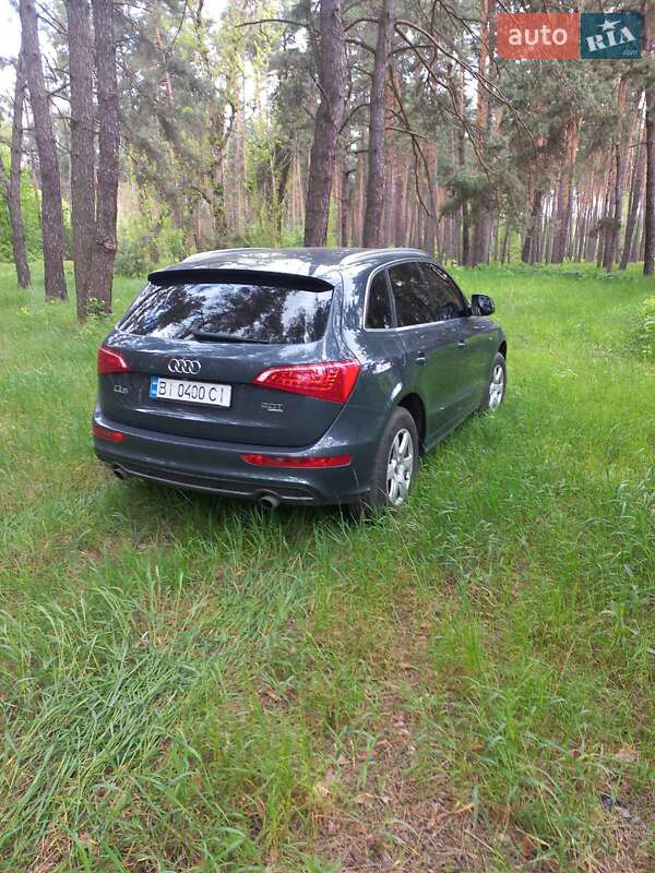 Внедорожник / Кроссовер Audi Q5 2010 в Гадяче