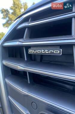 Внедорожник / Кроссовер Audi Q5 2019 в 