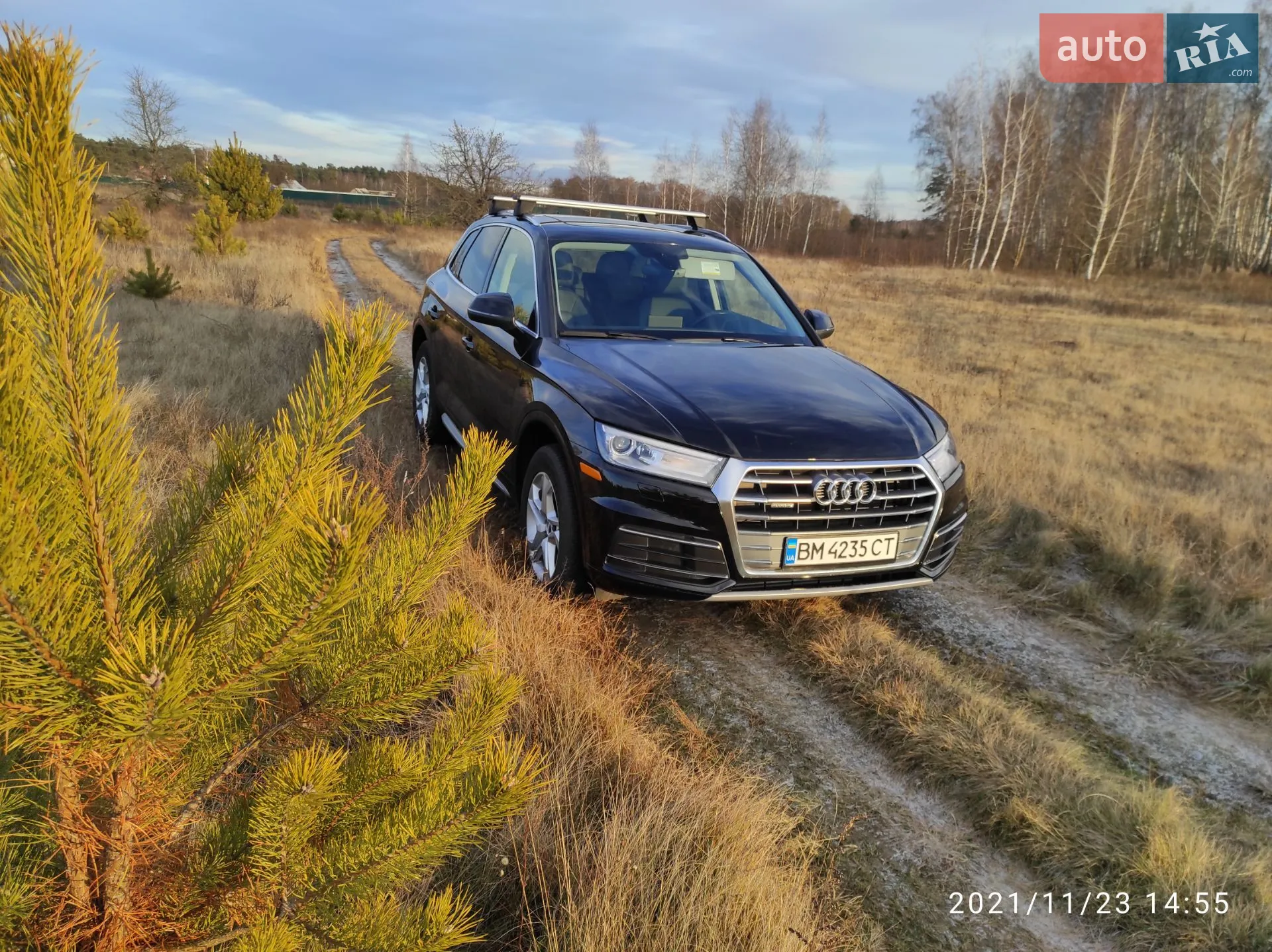 2019 Audi Q5 - фото 1