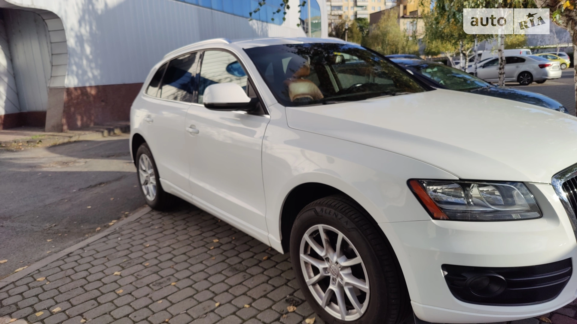 2010 Audi Q5 - мініатюра 5
