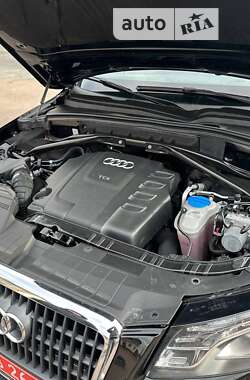 Внедорожник / Кроссовер Audi Q5 2009 в Бердичеве