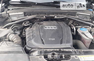 Внедорожник / Кроссовер Audi Q5 2013 в Шепетовке