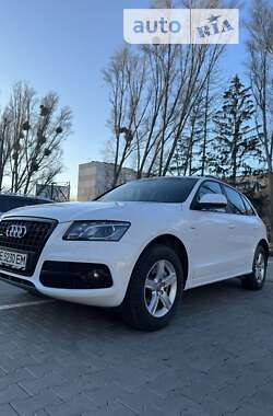 Внедорожник / Кроссовер Audi Q5 2011 в Черновцах