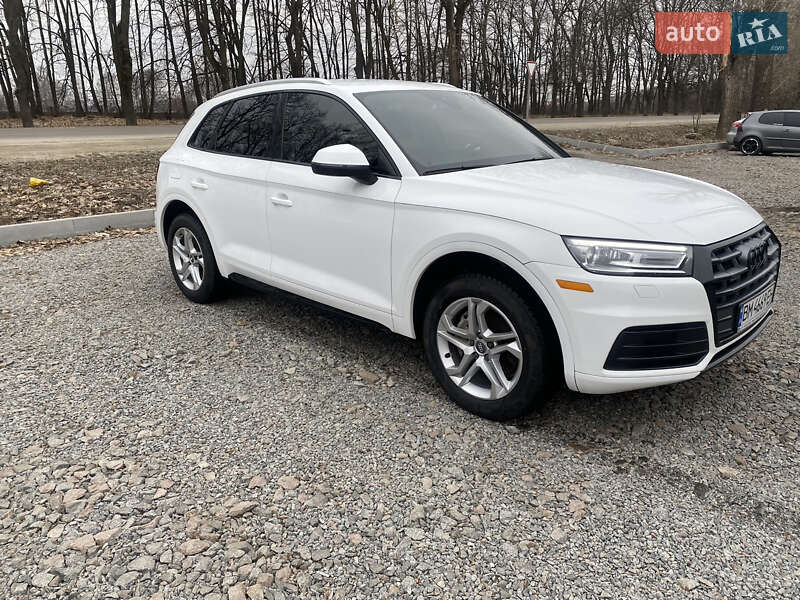 Внедорожник / Кроссовер Audi Q5 2019 в Сумах