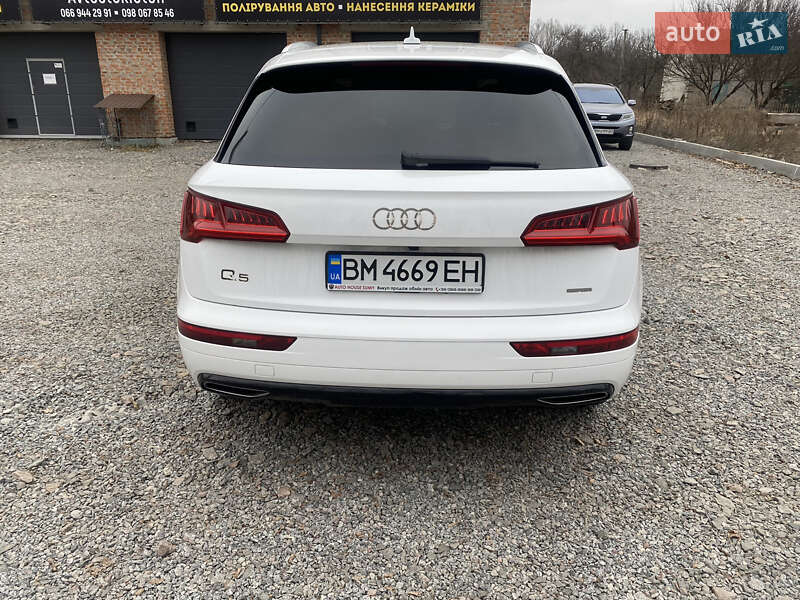 Внедорожник / Кроссовер Audi Q5 2019 в Сумах