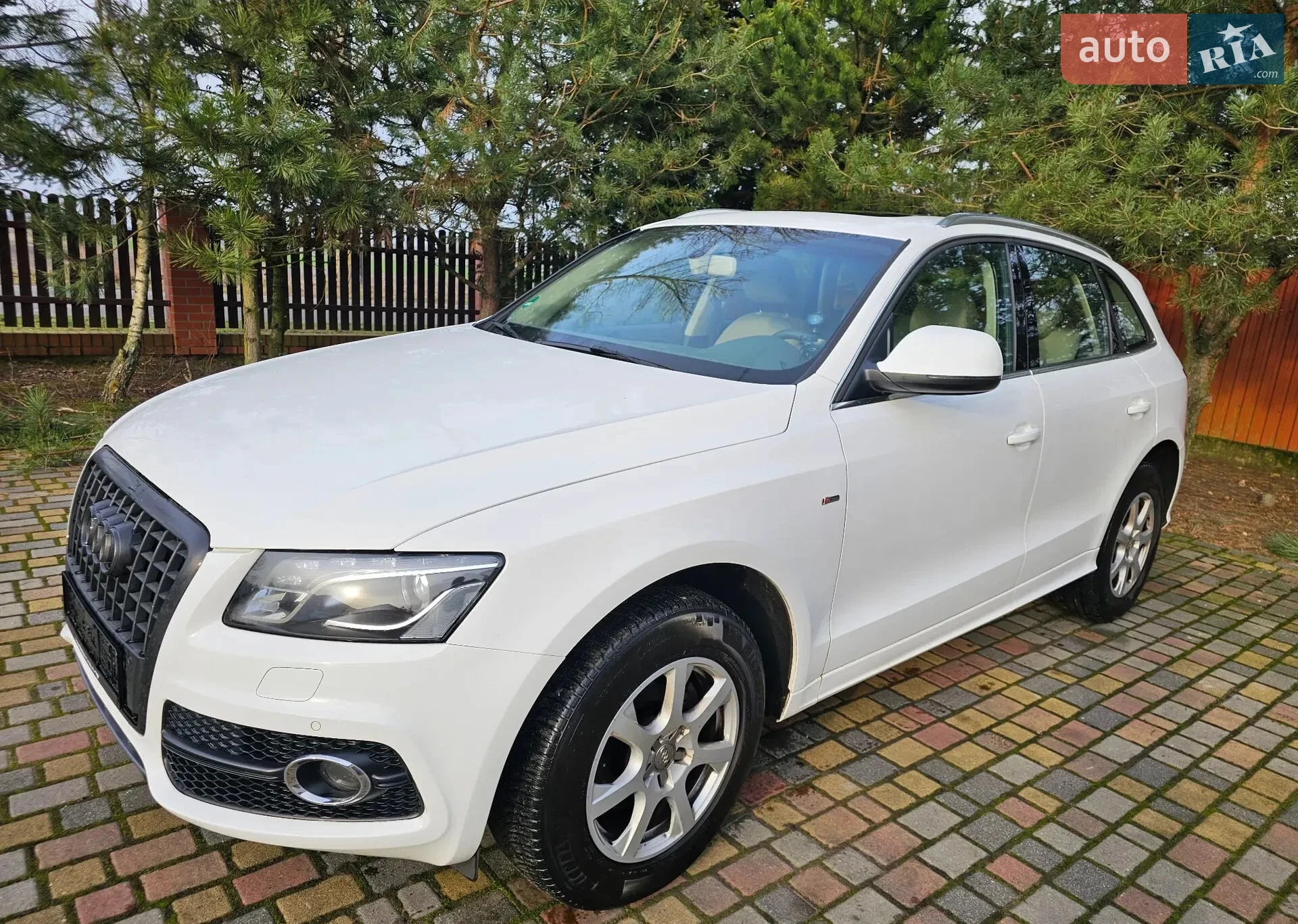 2012 Audi Q5 - мініатюра 3