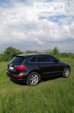 Внедорожник / Кроссовер Audi Q5 2009 в Ужгороде