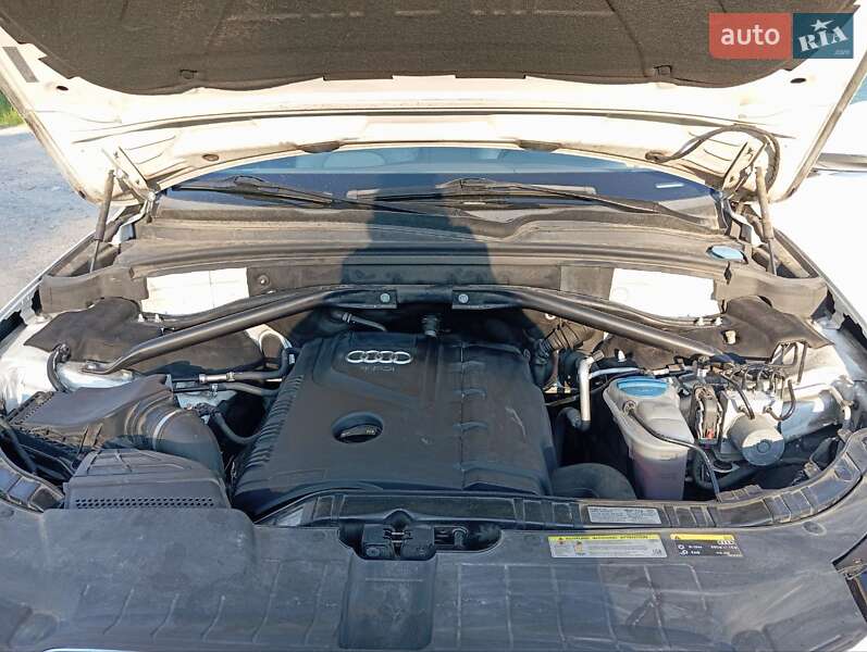 Внедорожник / Кроссовер Audi Q5 2014 в Тернополе фото 19 Внедорожник / Кроссовер Audi Q5 2014 в Тернополе