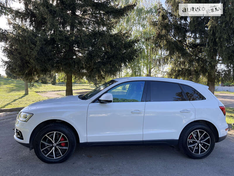 Внедорожник / Кроссовер Audi Q5 2015 в Черновцах фото 10 Внедорожник / Кроссовер Audi Q5 2015 в Черновцах