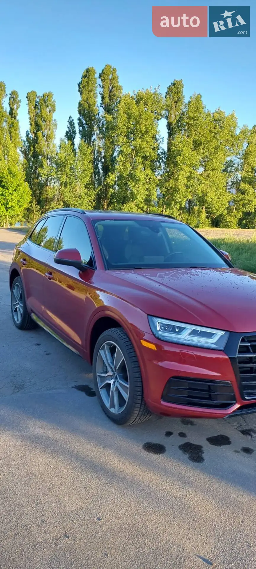 2019 Audi Q5 - фото 1
