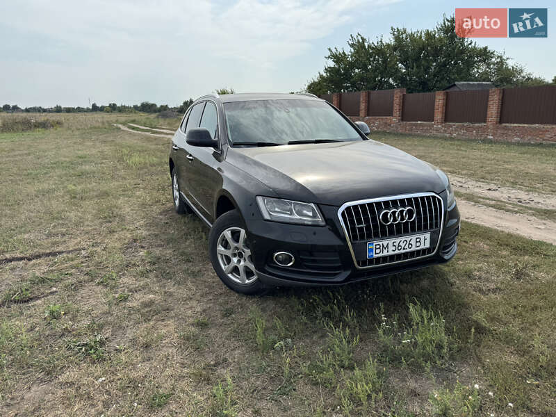 Audi Q5 2014