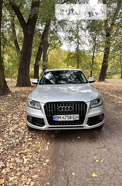 Внедорожник / Кроссовер Audi Q5 2013 в Сумах