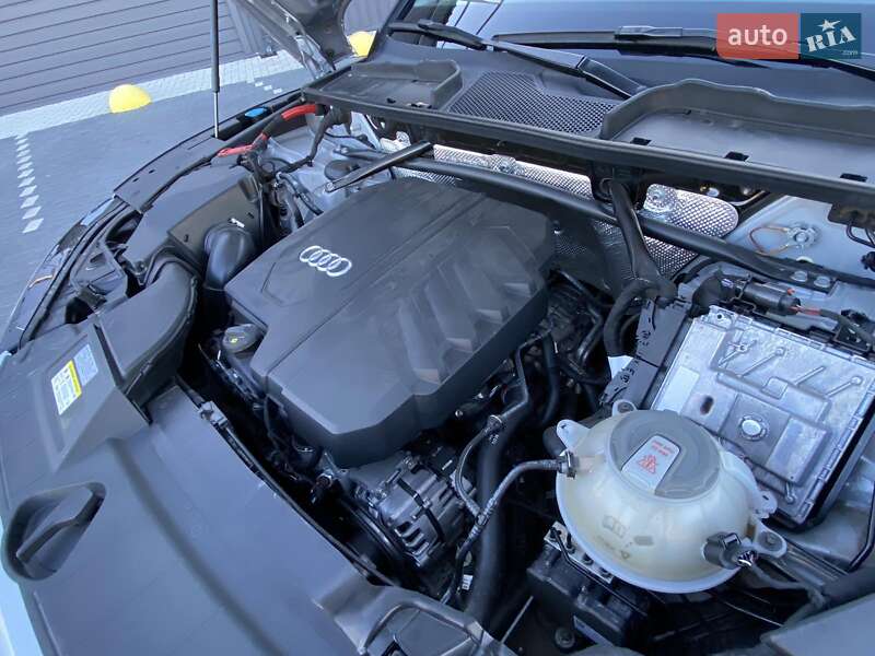 Внедорожник / Кроссовер Audi Q5 2022 в Кропивницком фото 21 Внедорожник / Кроссовер Audi Q5 2022 в Кропивницком