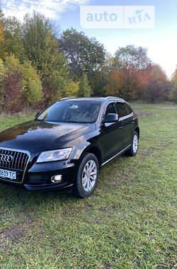 Внедорожник / Кроссовер Audi Q5 2012 в Золочеве