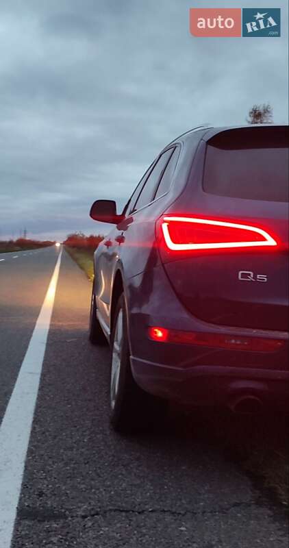 Внедорожник / Кроссовер Audi Q5 2012 в Березному
