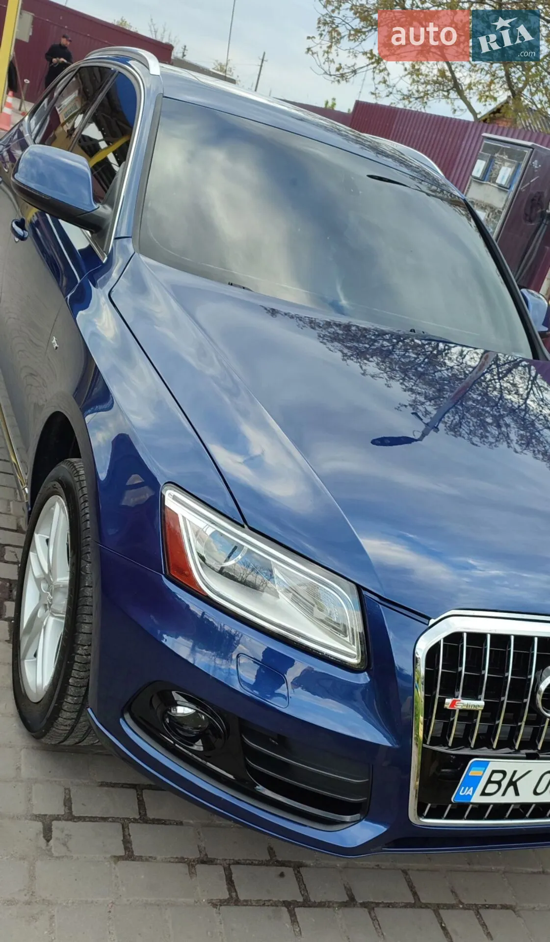 2012 Audi Q5 - фото 1