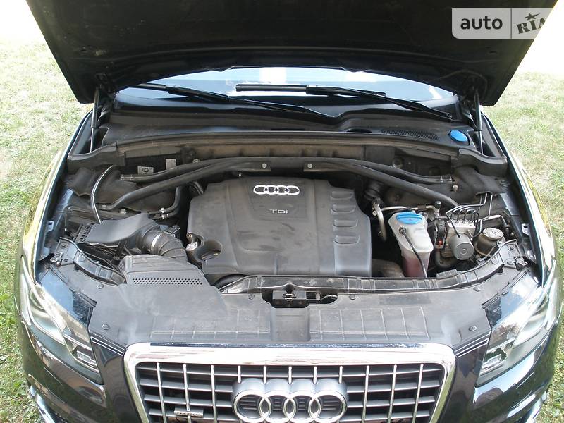 Позашляховик / Кросовер Audi Q5 2009 в Києві