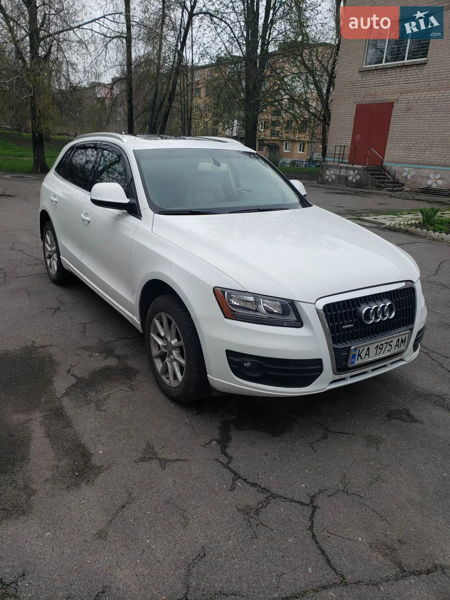 2010 Audi Q5 - мініатюра 6