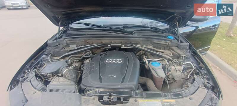 Внедорожник / Кроссовер Audi Q5 2014 в Белой Церкви
