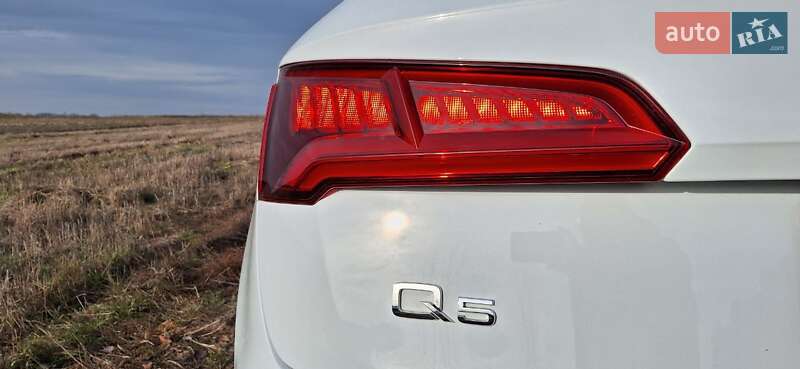 Внедорожник / Кроссовер Audi Q5 2019 в Фастове
