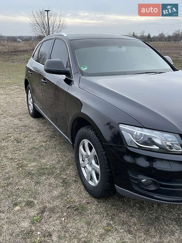 Внедорожник / Кроссовер Audi Q5 2009 в Лохвице