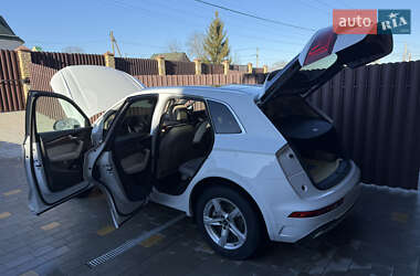 Внедорожник / Кроссовер Audi Q5 2022 в 