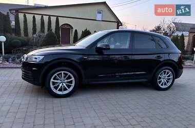 Внедорожник / Кроссовер Audi Q5 2019 в Житомире