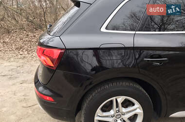 Внедорожник / Кроссовер Audi Q5 2019 в 