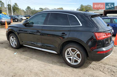 Внедорожник / Кроссовер Audi Q5 2019 в 