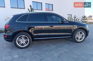 Внедорожник / Кроссовер Audi Q5 2017 в Луцке