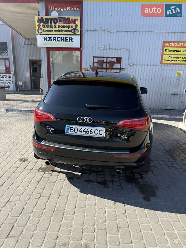 Внедорожник / Кроссовер Audi Q5 2010 в Тернополе фото 20 Внедорожник / Кроссовер Audi Q5 2010 в Тернополе