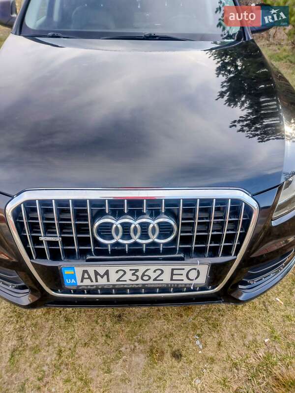 Позашляховик / Кросовер Audi Q5 2012 в Житомирі фото 4 Позашляховик / Кросовер Audi Q5 2012 в Житомирі