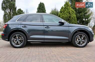 Внедорожник / Кроссовер Audi Q5 2019 в 