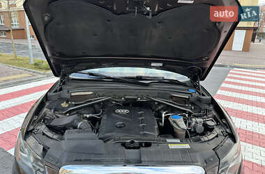 Внедорожник / Кроссовер Audi Q5 2010 в 