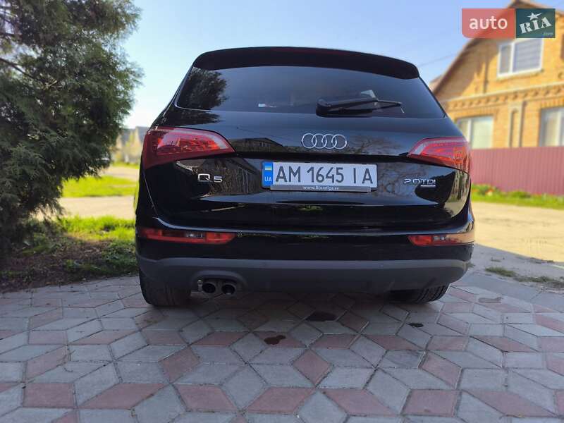 Внедорожник / Кроссовер Audi Q5 2009 в Бердичеве