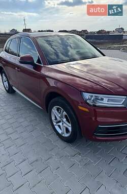 Внедорожник / Кроссовер Audi Q5 2019 в 