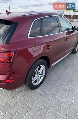 Внедорожник / Кроссовер Audi Q5 2019 в 