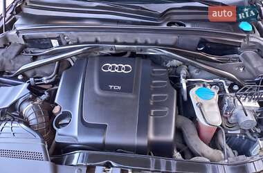Внедорожник / Кроссовер Audi Q5 2010 в 