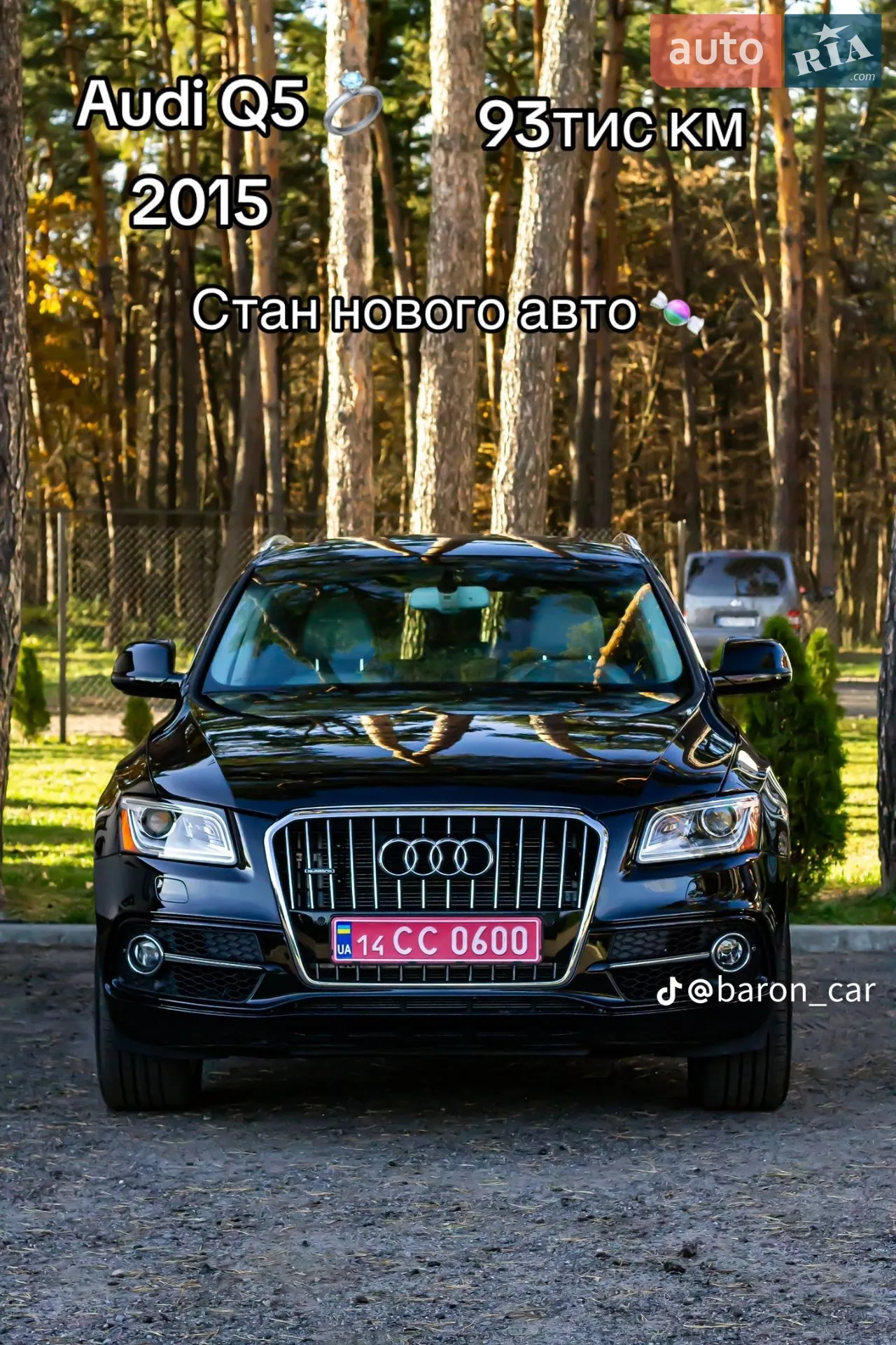 2015 Audi Q5 - фото 1