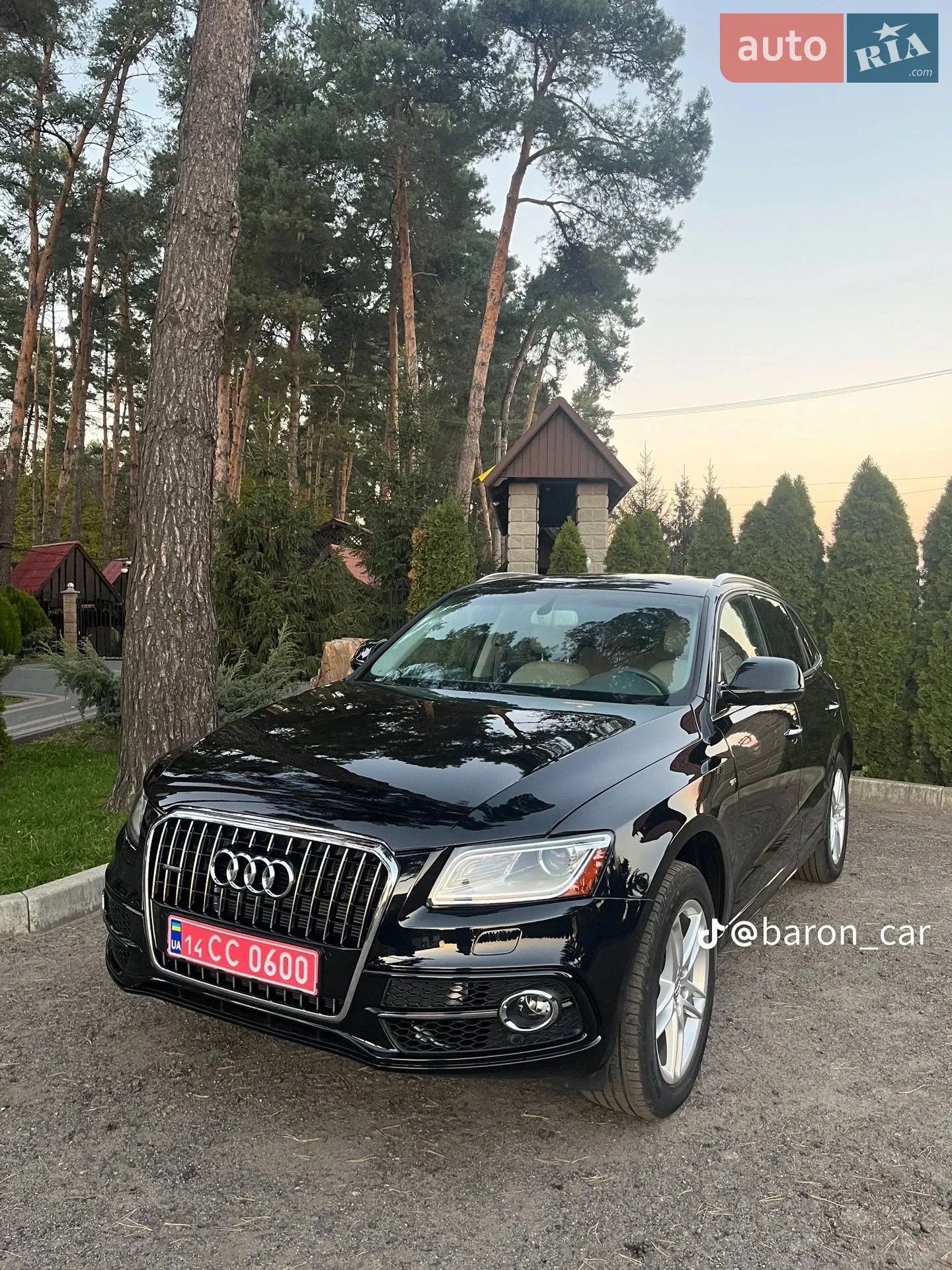 2015 Audi Q5 - мініатюра 12