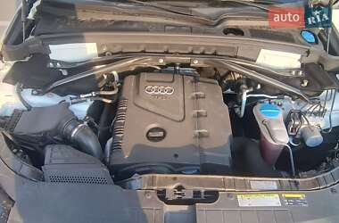 Внедорожник / Кроссовер Audi Q5 2012 в 